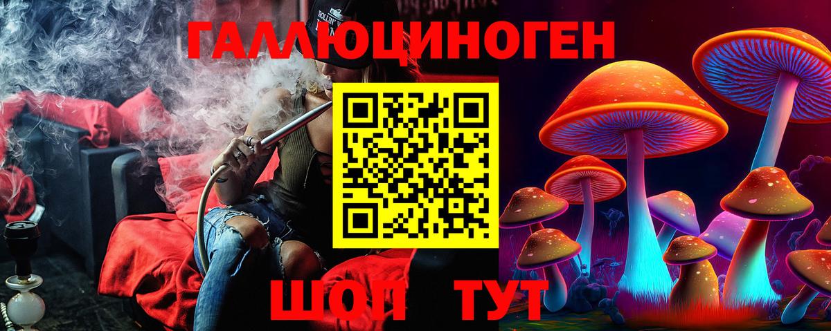 Галлюциногенные грибы прущие грибы Алатырь