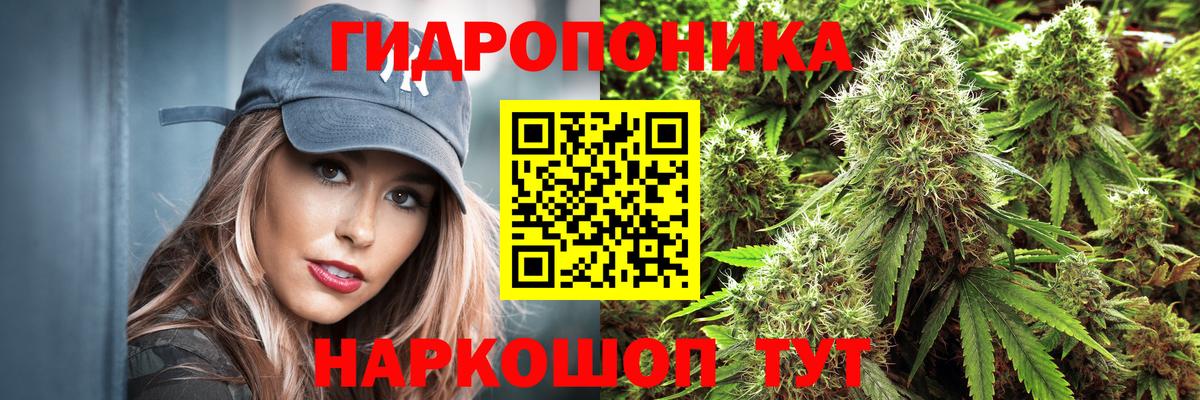 Каннабис AK-47 Алатырь